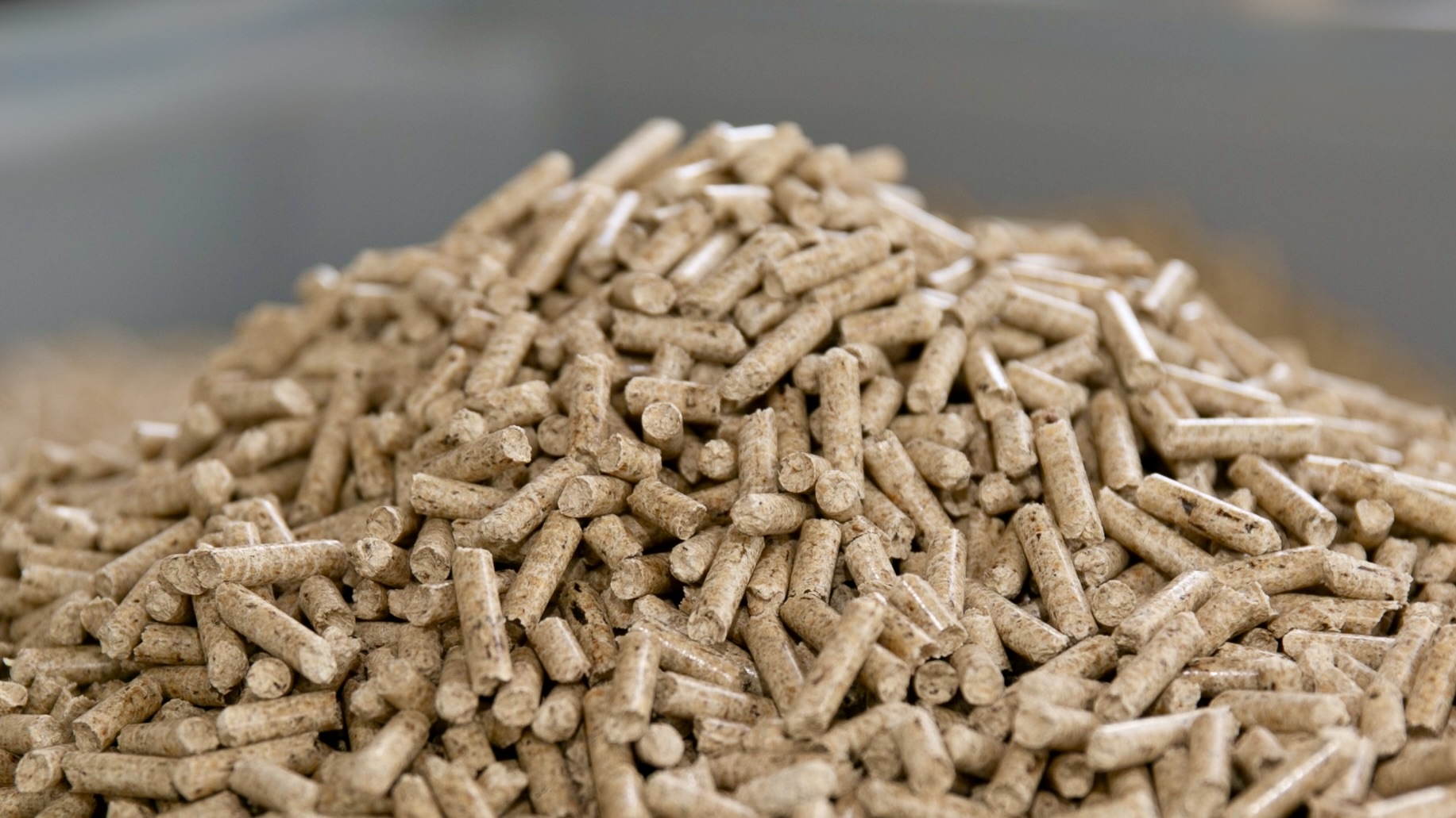CPP-Pellets