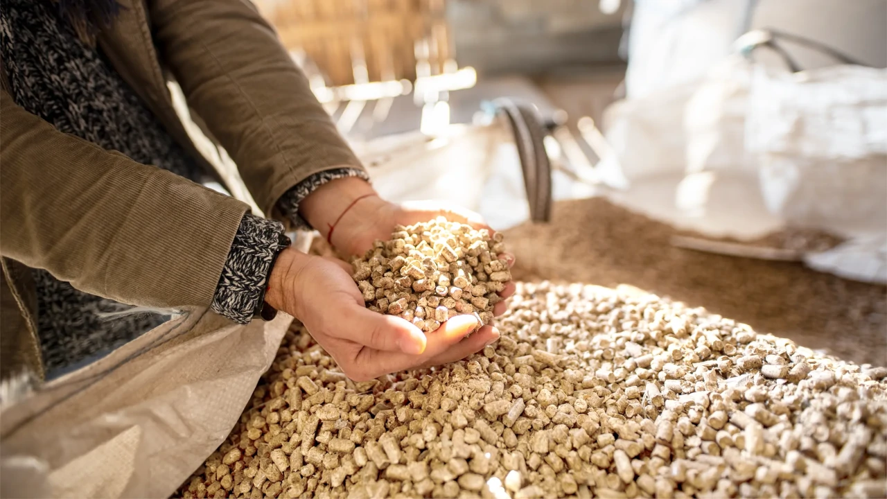 Tenersi per mano Certified Premium Pellets